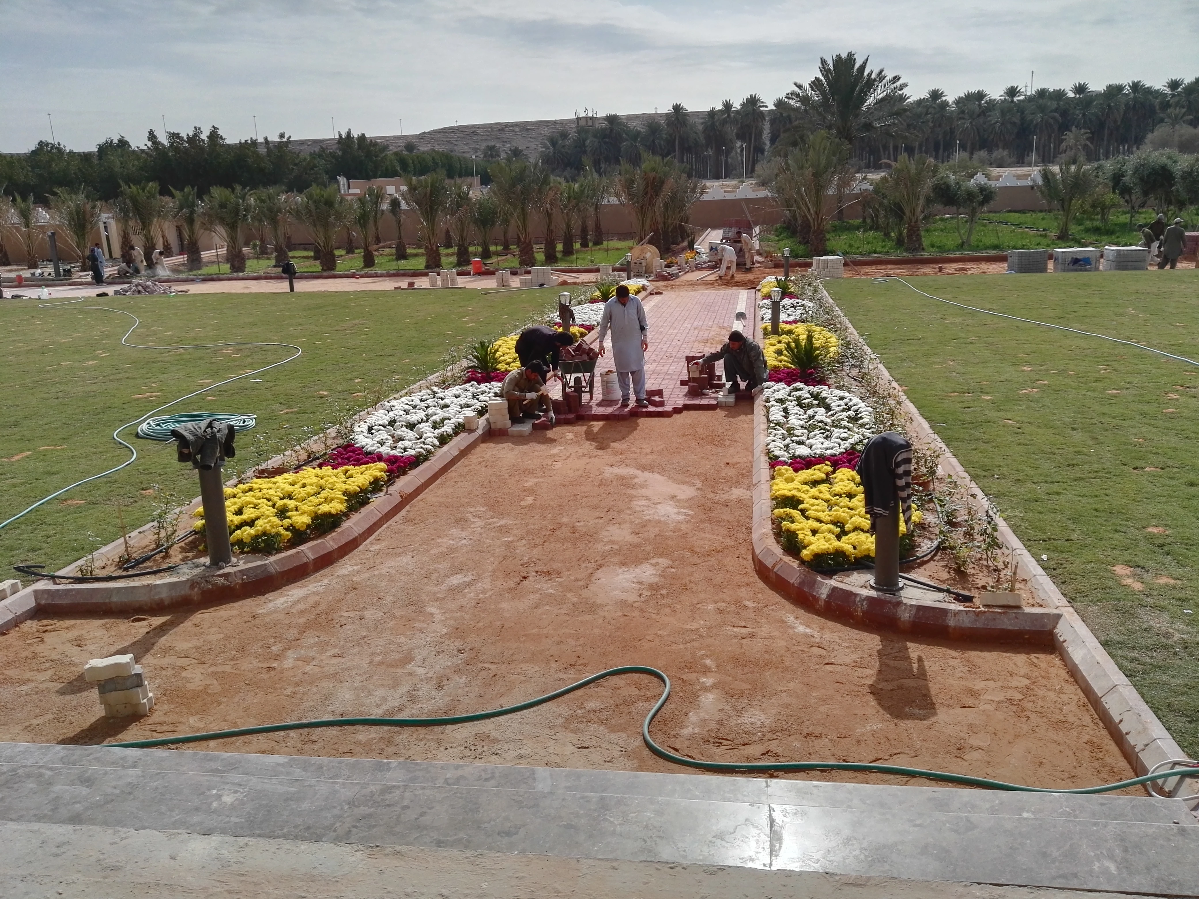 مزرعة خشم النعامة